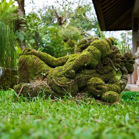 Ayurvedagram Bali - Wellness & Retreat Resort