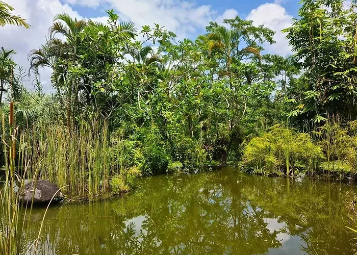Ferienpark Ayurvedagram Bali - Wellness & Retreat