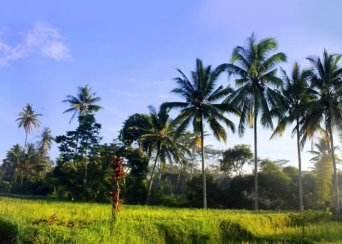 Ayurvedagram Bali - Wellness & Retreat